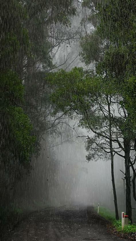 下雨天图片|下雨天图片